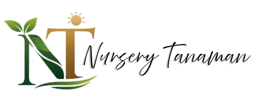Nursery Tanaman